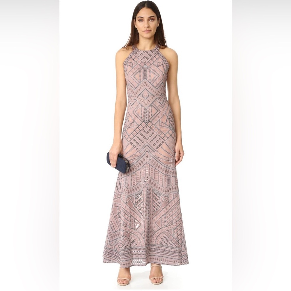 BCBGMaxAzria Felicia Burnout Mesh Gown in Antique Rose